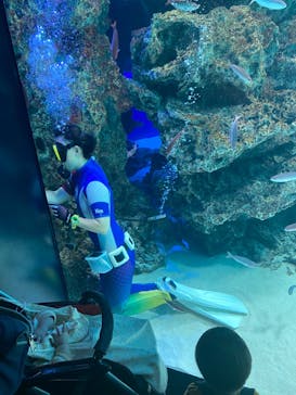 サンシャイン水族館に投稿された画像（2022/4/30）