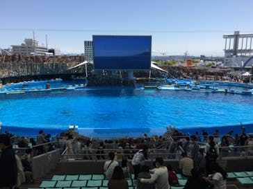 名古屋港水族館に投稿された画像（2022/4/30）