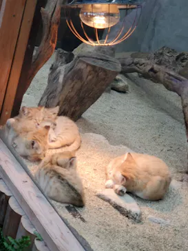 神戸どうぶつ王国に投稿された画像（2022/4/30）