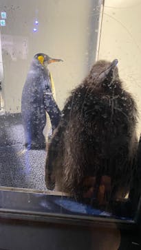 マクセル アクアパーク品川に投稿された画像（2022/4/30）