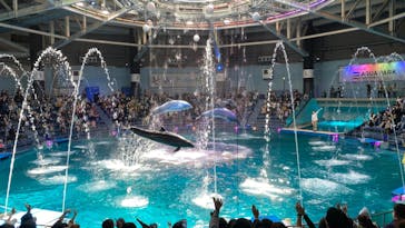 マクセル アクアパーク品川に投稿された画像（2022/4/30）