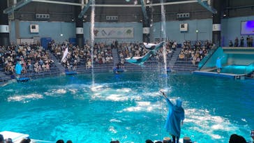 マクセル アクアパーク品川に投稿された画像（2022/4/30）