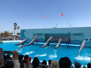 南知多ビーチランド＆南知多おもちゃ王国に投稿された画像（2022/4/30）