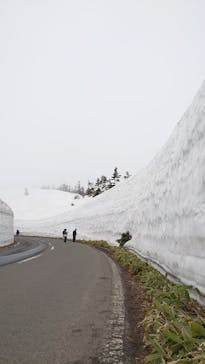 横手山・渋峠スキー場に投稿された画像（2022/4/30）