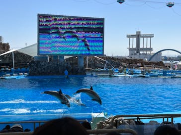 名古屋港水族館に投稿された画像（2022/4/30）