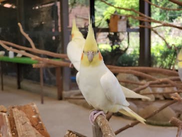 伊豆アニマルキングダムに投稿された画像（2022/4/30）