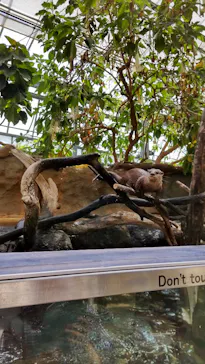 神戸どうぶつ王国に投稿された画像（2022/4/30）