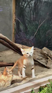 神戸どうぶつ王国に投稿された画像（2022/4/30）