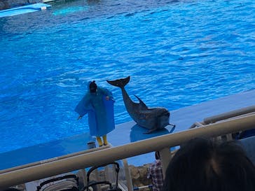 名古屋港水族館に投稿された画像（2022/4/30）