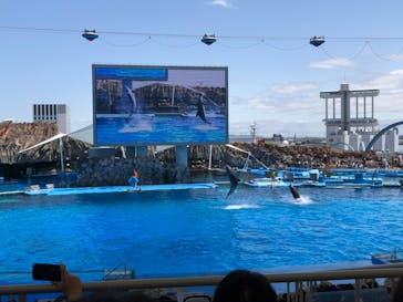 名古屋港水族館に投稿された画像（2022/4/30）
