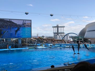 名古屋港水族館に投稿された画像（2022/4/30）