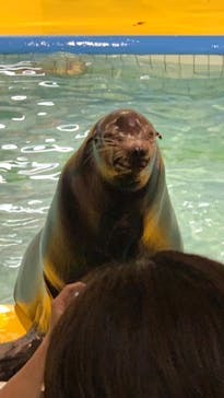 ゼロ距離水族館 伊勢シーパラダイスに投稿された画像（2022/4/30）