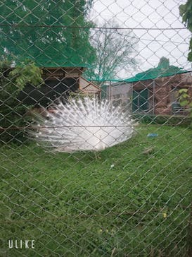 東武動物公園に投稿された画像（2022/4/30）