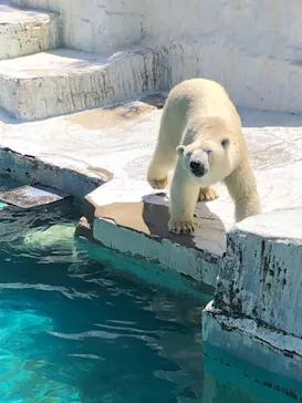 天王寺動物園に投稿された画像（2022/4/30）