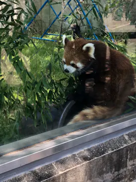 天王寺動物園に投稿された画像（2022/4/30）