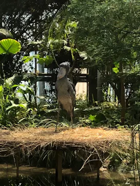 神戸どうぶつ王国に投稿された画像（2022/4/30）