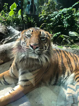 神戸どうぶつ王国に投稿された画像（2022/4/30）