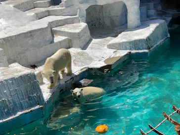 天王寺動物園に投稿された画像（2022/4/30）