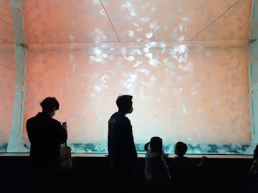 アクアワールド茨城県大洗水族館に投稿された画像（2022/4/30）