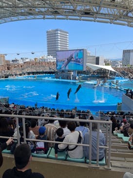 名古屋港水族館に投稿された画像（2022/4/30）