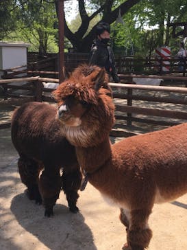 那須高原りんどう湖ファミリー牧場に投稿された画像（2022/4/30）