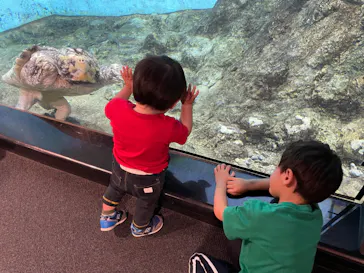 天王寺動物園に投稿された画像（2022/4/30）