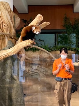 ネオパークオキナワに投稿された画像（2022/4/30）