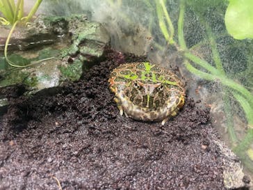 サンシャイン水族館に投稿された画像（2022/4/30）