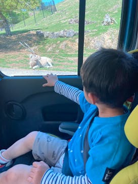 姫路セントラルパークに投稿された画像（2022/4/30）