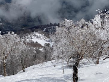 野沢温泉スキー場に投稿された画像（2022/4/30）