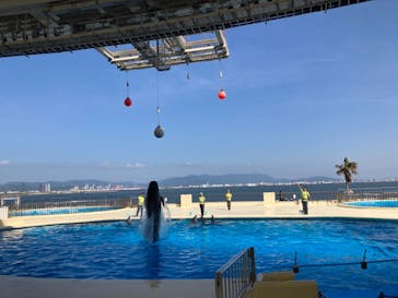 マリンワールド海の中道に投稿された画像（2022/4/30）