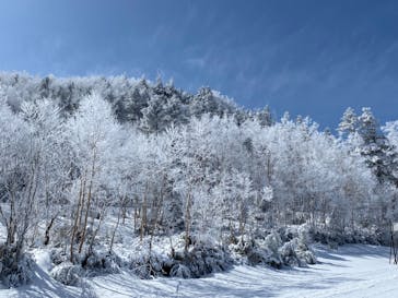 志賀高原マウンテンリゾートに投稿された画像（2022/4/30）