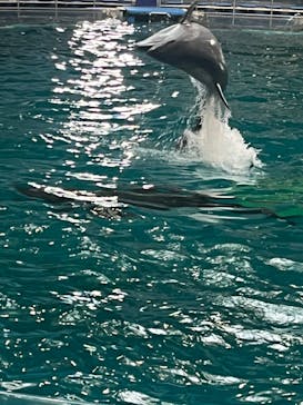 マクセル アクアパーク品川に投稿された画像（2022/4/30）