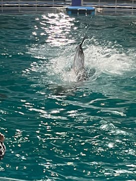 マクセル アクアパーク品川に投稿された画像（2022/4/30）