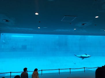名古屋港水族館に投稿された画像（2022/4/30）