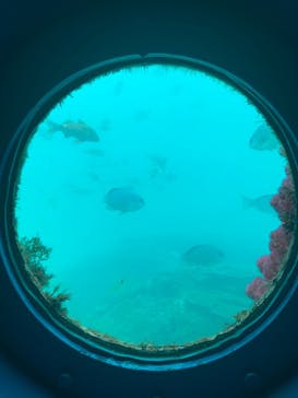 串本海中公園水族館に投稿された画像（2022/4/30）
