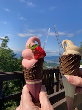 伊豆パノラマパークに投稿された画像（2022/4/30）