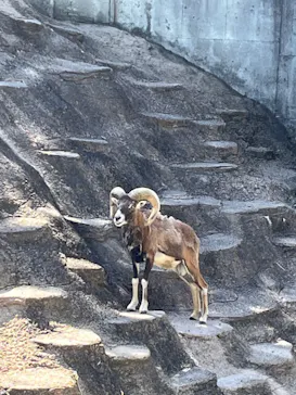 天王寺動物園に投稿された画像（2022/4/30）