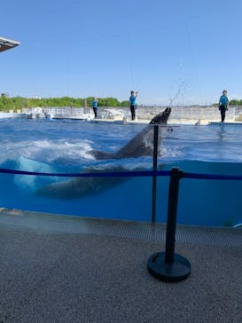 京都鉄道博物館×京都水族館に投稿された画像（2022/4/30）