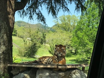 秋吉台自然動物公園 サファリランドに投稿された画像（2022/4/30）