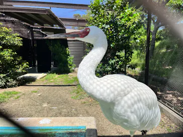 天王寺動物園に投稿された画像（2022/4/30）