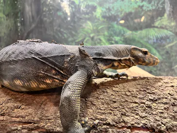 天王寺動物園に投稿された画像（2022/4/30）