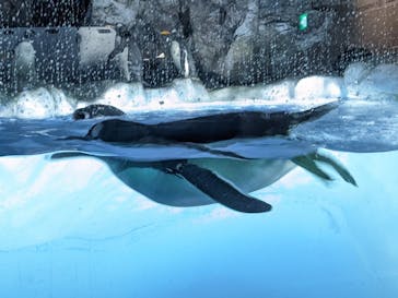 名古屋港水族館に投稿された画像（2022/4/30）