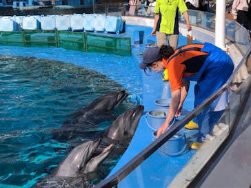 名古屋港水族館に投稿された画像（2022/4/30）