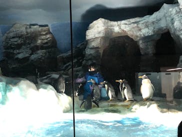 名古屋港水族館に投稿された画像（2022/4/30）