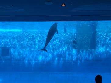 名古屋港水族館に投稿された画像（2022/4/30）