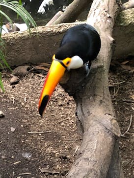 那須どうぶつ王国に投稿された画像（2022/4/30）