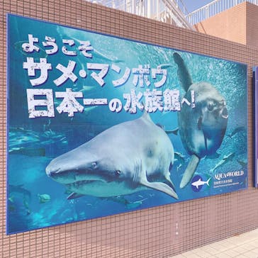 アクアワールド茨城県大洗水族館に投稿された画像（2022/4/30）
