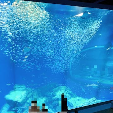 アクアワールド茨城県大洗水族館に投稿された画像（2022/4/30）