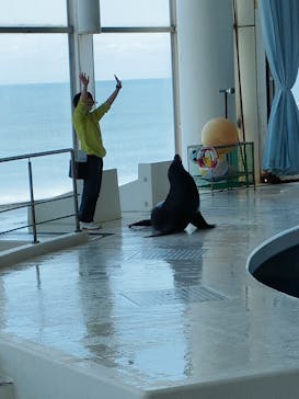 アクアワールド茨城県大洗水族館に投稿された画像（2022/4/30）